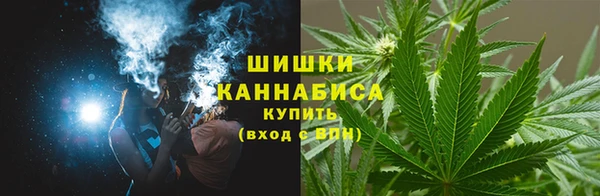 дурь Алзамай