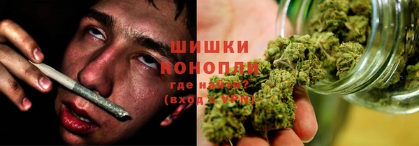 дурь Алзамай