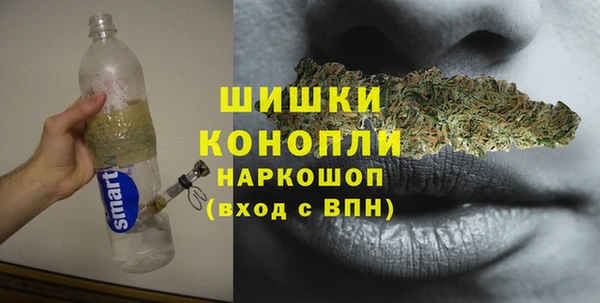 дурь Алзамай