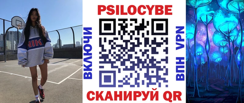 Псилоцибиновые грибы Psilocybine cubensis Апатиты