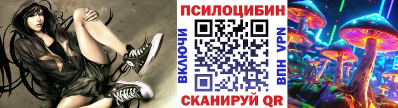 купить наркотик  Апатиты  Псилоцибиновые грибы Magic Shrooms 