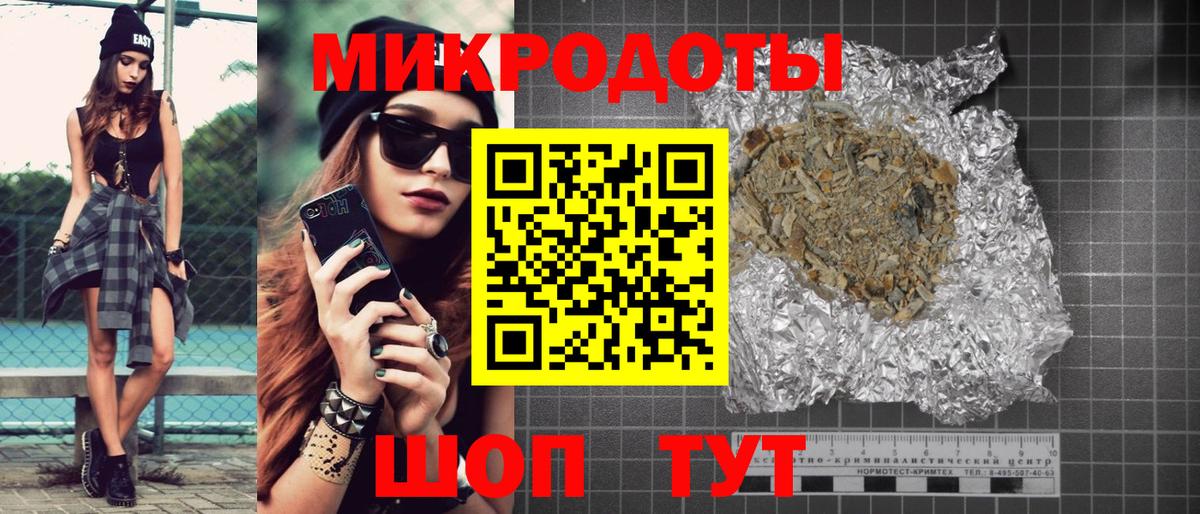 Галлюциногенные грибы Psilocybe Апатиты