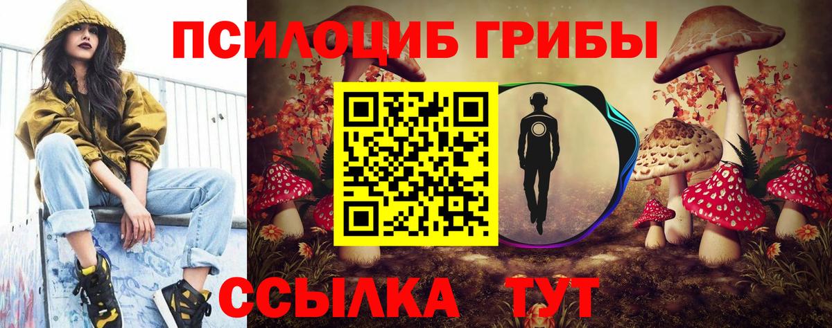 Апатиты  Галлюциногенные грибы мицелий  Псилоцибиновые грибы Cubensis  Вход с VPN 